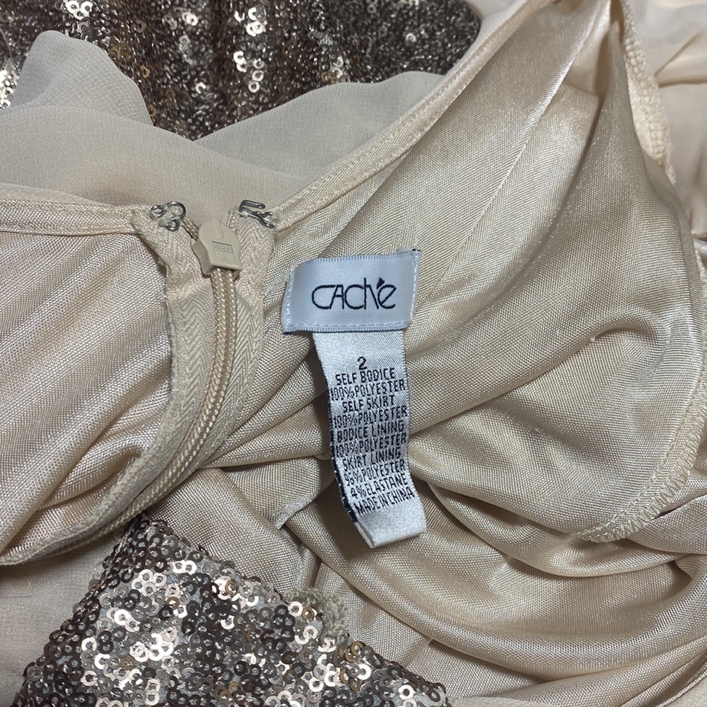 Champagne Colored Cache Dress - image 6